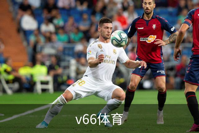 v66体育公司形象图